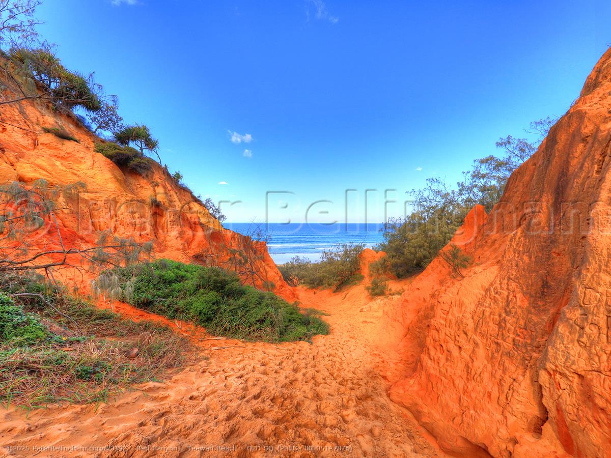 Peter Bellingham Photography Red Canyon - Teewah Beach - QLD SQ (PB5Ds 00 051A7876)
